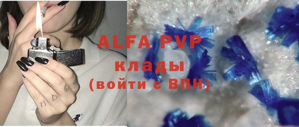 шишки Белокуриха