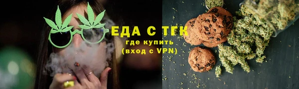 шишки Белокуриха