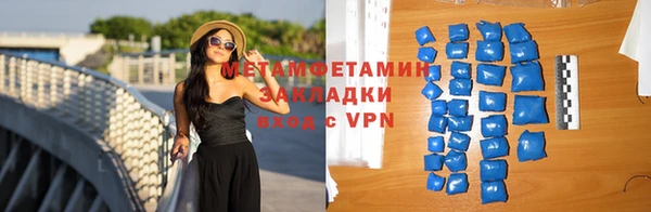 шишки Белокуриха