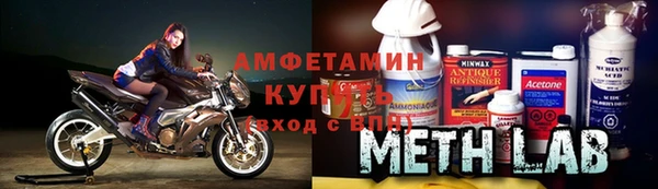 шишки Белокуриха