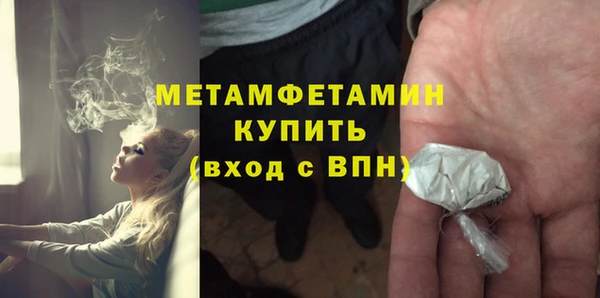 шишки Белокуриха