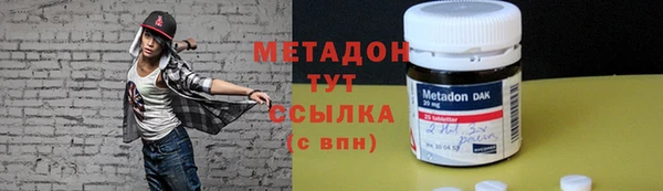 шишки Белокуриха