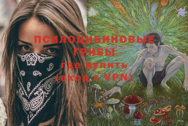 шишки Белокуриха