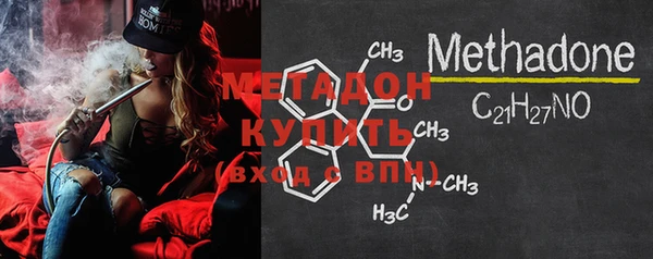 шишки Белокуриха