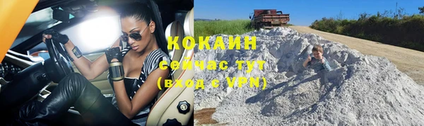 шишки Белокуриха